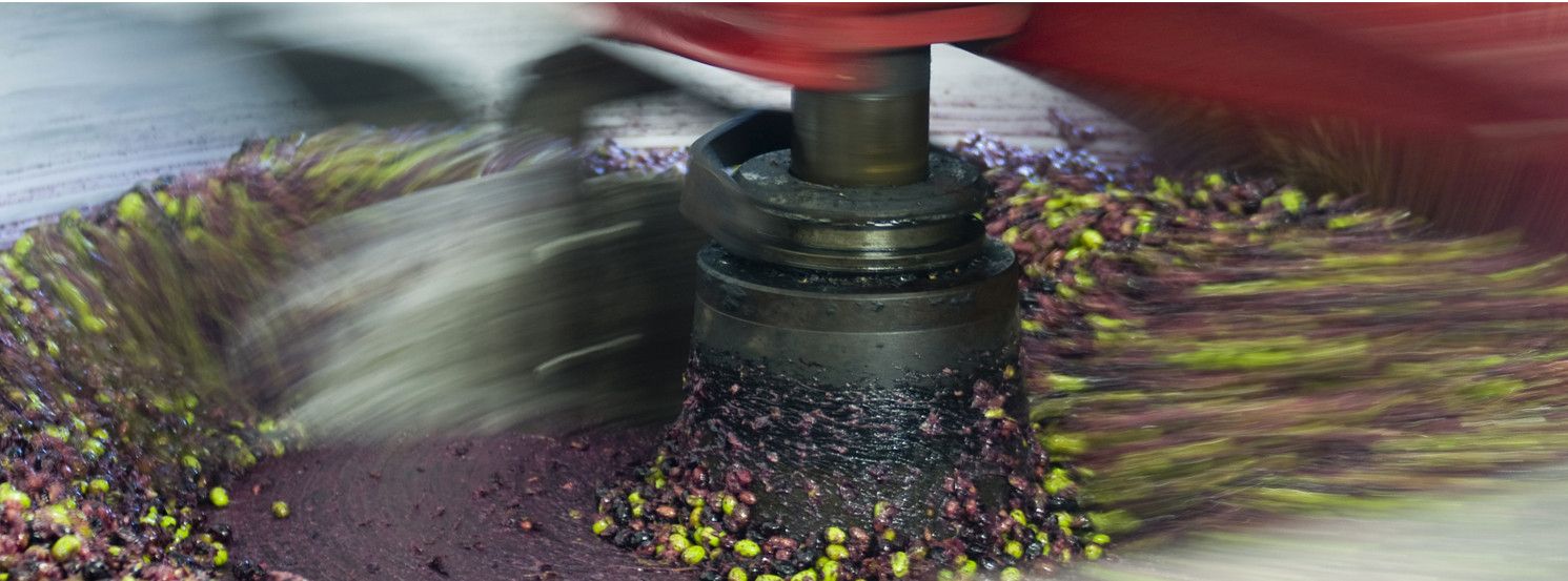 Proceso de obtención de aceite de oliva virgen extra