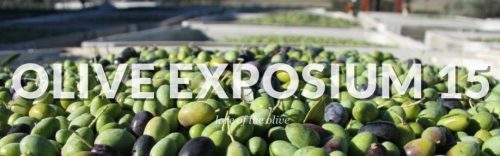 olive exposium aceite de oliva