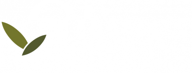 Oliva Virgen Gourmet